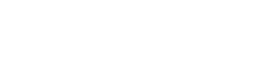 IT/AI Akademija